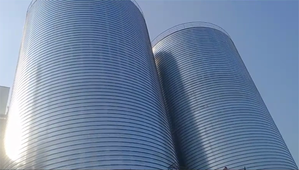 信丰2座混凝土高架卷板仓